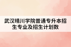 2021年武漢晴川學(xué)院普通專升本招生專業(yè)及招生計(jì)劃數(shù)