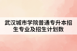 2021年武漢城市學(xué)院普通專升本招生專業(yè)及招生計(jì)劃數(shù)