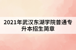 2021年武漢東湖學(xué)院普通專升本招生簡章