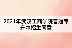 2021年武漢工商學(xué)院普通專升本招生簡章