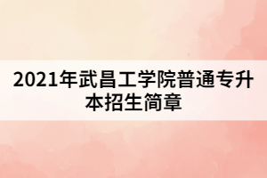 2021年武昌工學(xué)院普通專升本招生簡章