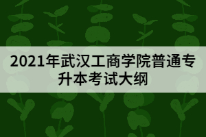 2021年武漢工商學(xué)院普通專(zhuān)升本《計(jì)算機(jī)科學(xué)與技術(shù)專(zhuān)業(yè)》考試大綱