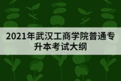 2021年武漢工商學(xué)院普通專升本《會計學(xué)原理》考試大綱