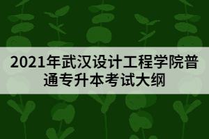 2021年武漢設(shè)計工程學(xué)院普通專升本《產(chǎn)品快題設(shè)計》考試大綱