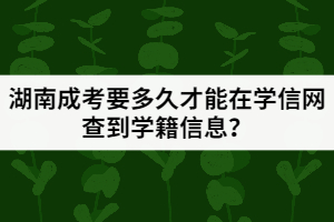 湖南成考要多久才能在學(xué)信網(wǎng)查到學(xué)籍信息？