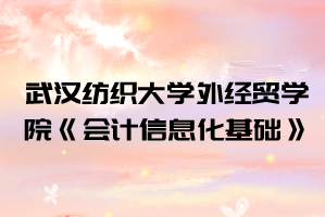 2021年武漢紡織大學(xué)外經(jīng)貿(mào)學(xué)院普通專升本《會計信息化基礎(chǔ)》考試大綱