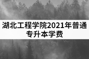 2021年湖北工程學(xué)院普通專升本各專業(yè)收費(fèi)標(biāo)準(zhǔn)