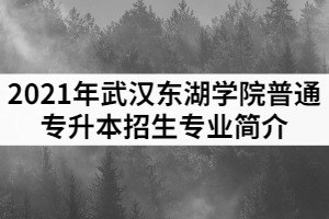 2021年武漢東湖學(xué)院普通專升本招生專業(yè)簡(jiǎn)介