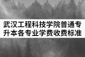 2021年武漢工程科技學(xué)院普通專升本各專業(yè)學(xué)費(fèi)收費(fèi)標(biāo)準(zhǔn)