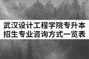 2021年武漢設(shè)計工程學(xué)院普通專升本各招生專業(yè)咨詢方式一覽表