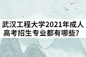 武漢工程大學2021年成人高考招生專業(yè)都有哪些？