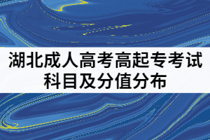 湖北成人高考高起專考試科目及分值分布是怎樣的？