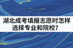 湖北成考填報(bào)志愿時怎樣選擇專業(yè)和院校？