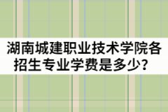 湖南城建職業(yè)技術(shù)學(xué)院2021年各招生專業(yè)學(xué)費(fèi)是多少？