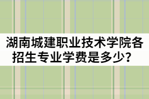 湖南城建職業(yè)技術(shù)學(xué)院2021年各招生專(zhuān)業(yè)學(xué)費(fèi)是多少？