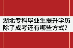 湖北?？飘厴I(yè)生提升學歷除了成考還有哪些方式？
