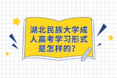 湖北民族大學(xué)成人高考學(xué)習(xí)形式是怎樣的