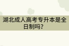 湖北成考專升本是全日制嗎？全日制和非全日制的區(qū)別是什么？