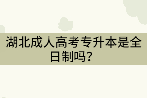 湖北成考專升本是全日制嗎？全日制和非全日制的區(qū)別是什么？
