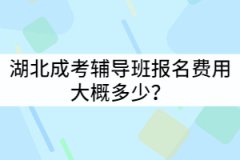 湖北成考輔導班報名費用大概多少？