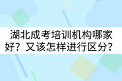 湖北成考培訓機構哪家好？又該怎樣進行區(qū)分？