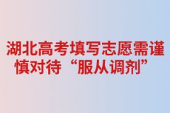 湖北高考填寫志愿需謹(jǐn)慎對待“服從調(diào)劑” 