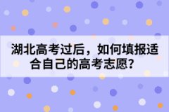 湖北高考過后，如何填報適合自己的高考志愿？