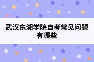 武漢東湖學(xué)院自考常見問題有哪些