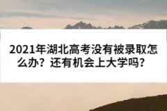 2021年湖北高考沒有被錄取怎么辦？還有機會上大學(xué)嗎？