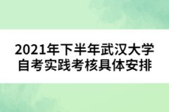 2021年下半年武漢大學(xué)自考實(shí)踐考核具體安排