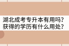 湖北成考專升本有用嗎？獲得的學(xué)歷有什么用處？