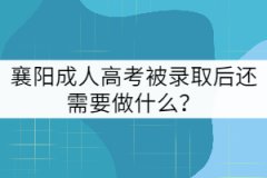 襄陽成人高考被錄取后還需要做什么？