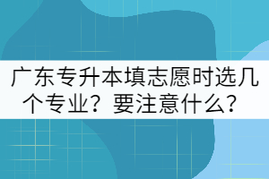 廣東專升本填志愿時(shí)可以選幾個(gè)專業(yè)？要注意什么？