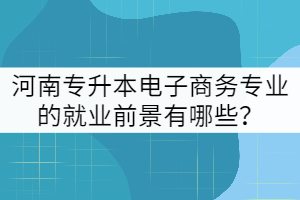 河南專升本電子商務(wù)專業(yè)的就業(yè)前景有哪些？