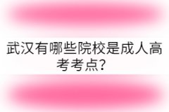 武漢有哪些院校是成人高考考點？