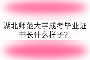 湖北師范大學(xué)成考畢業(yè)證書長什么樣子？