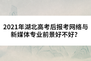 2021年湖北高考后報考網(wǎng)絡與新媒體專業(yè)前景好不好？