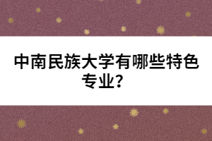 中南民族大學(xué)有哪些特色專業(yè)？