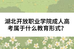 湖北開放職業(yè)學(xué)院成人高考屬于什么教育形式？