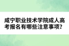 咸寧職業(yè)技術(shù)學(xué)院成人高考報(bào)名有哪些注意事項(xiàng)？