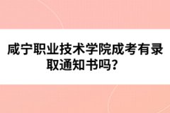 咸寧職業(yè)技術(shù)學(xué)院成考有錄取通知書(shū)嗎？