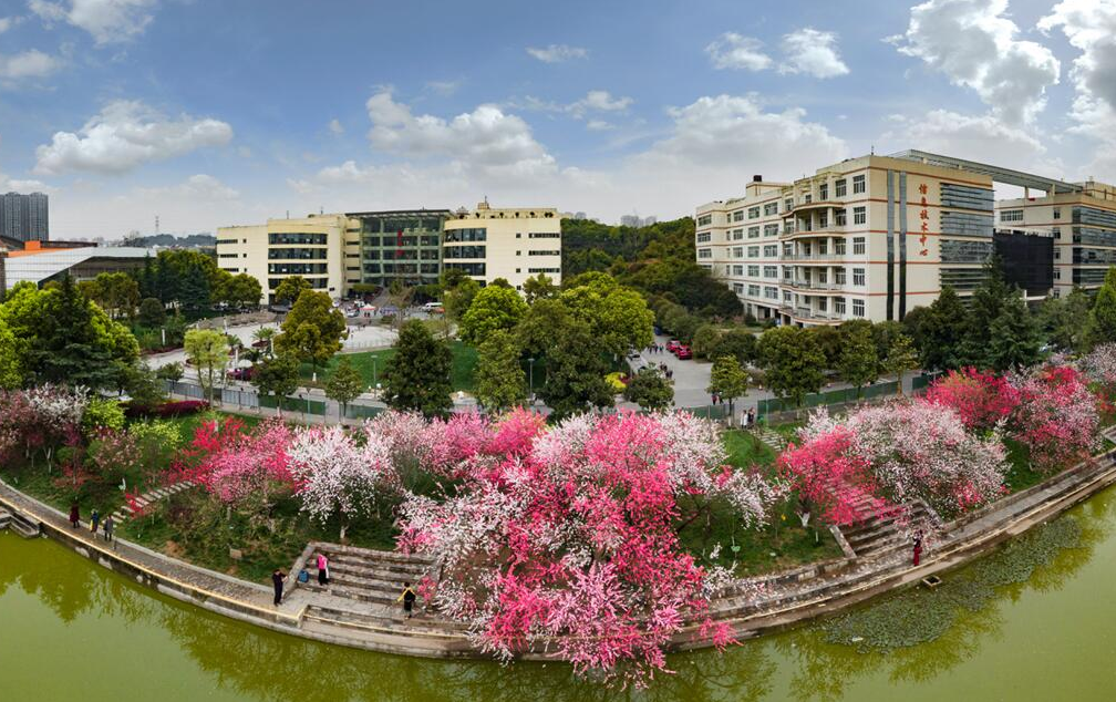 三峽大學成教學校環(huán)境4