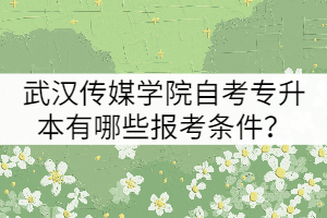武漢傳媒學(xué)院自考專升本有哪些報(bào)考條件？