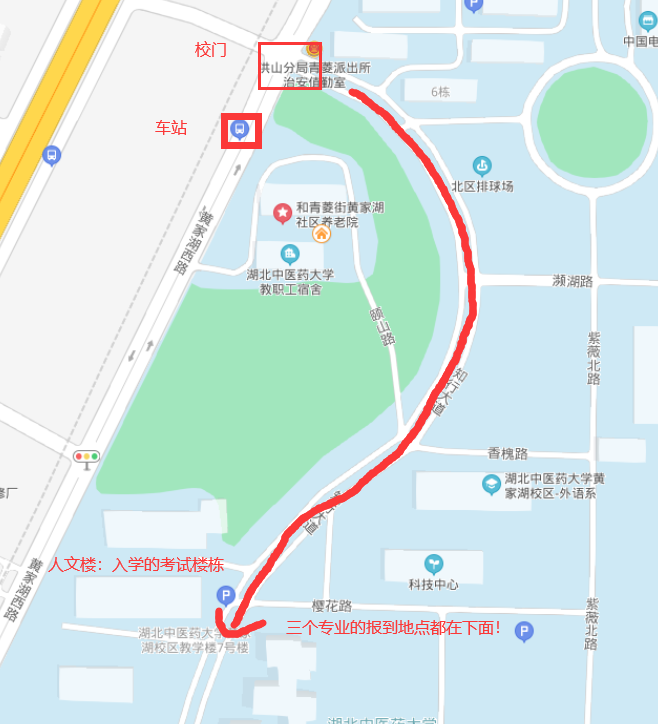 2021年湖北中醫(yī)藥大學(xué)普通專升本新生報(bào)到指南