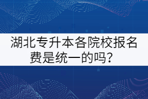 湖北專升本各院校的報名費是統(tǒng)一的嗎？