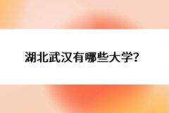 湖北武漢有哪些大學？