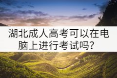 湖北成人高考可以在電腦上進(jìn)行考試嗎？