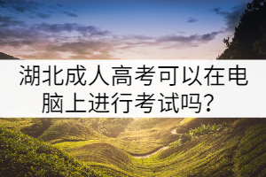 湖北成人高考可以在電腦上進(jìn)行考試嗎？