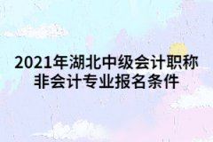 2021年湖北中級會(huì)計(jì)職稱非會(huì)計(jì)專業(yè)報(bào)名條件