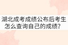 湖北成考成績公布后考生怎么查詢自己的成績？